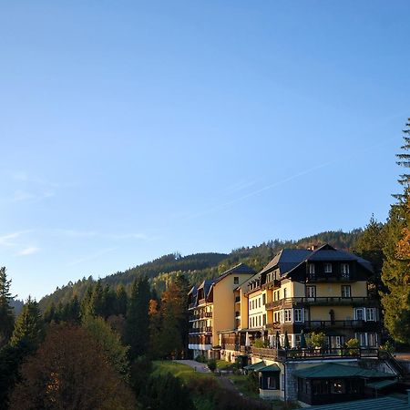 Alpenhotel Goesing Puchenstuben Eksteriør billede
