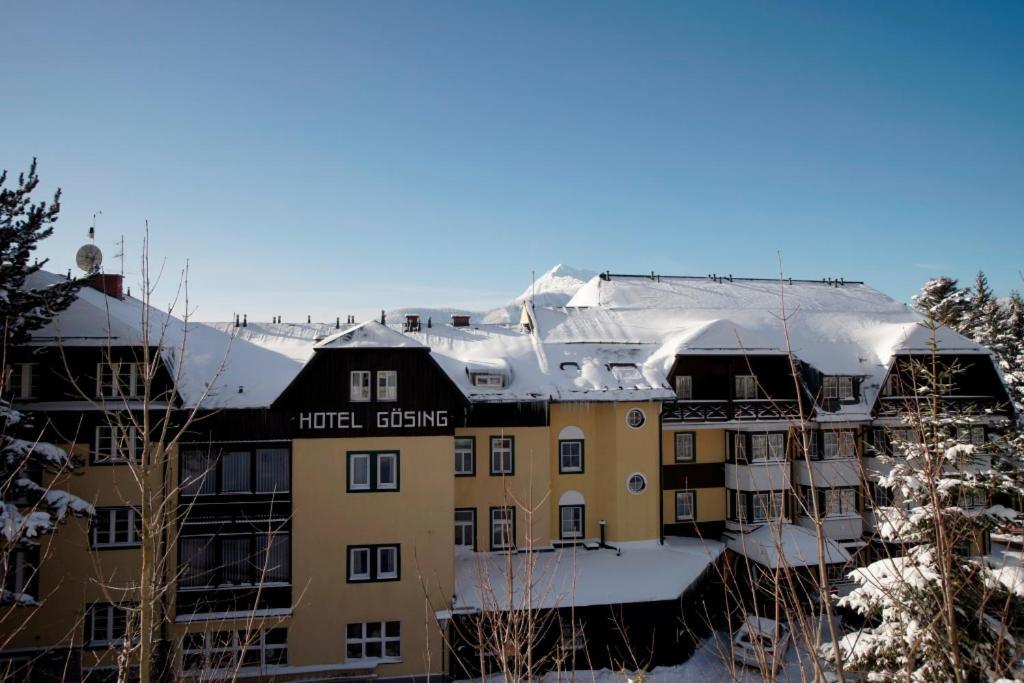 Alpenhotel Goesing Puchenstuben Eksteriør billede